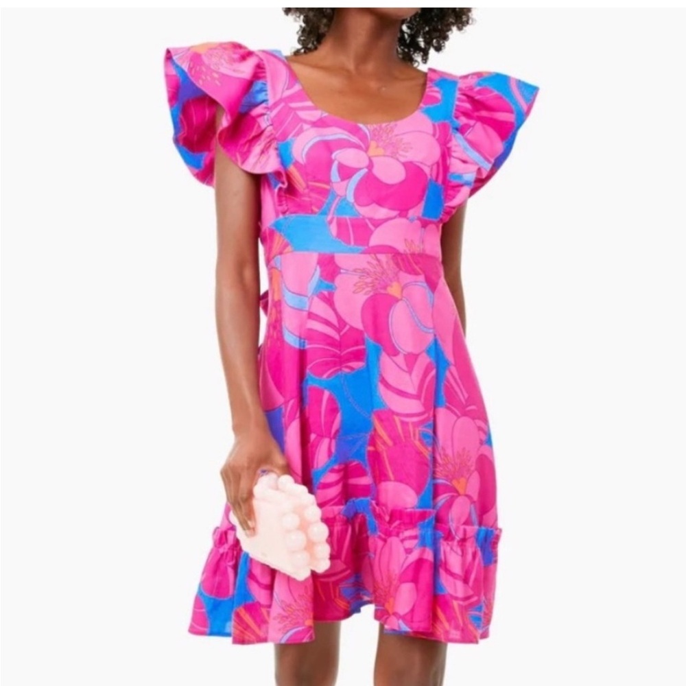 Tuckernuck Pink and Blue Floral Ruffle Mini Dress - Picture 2 of 4